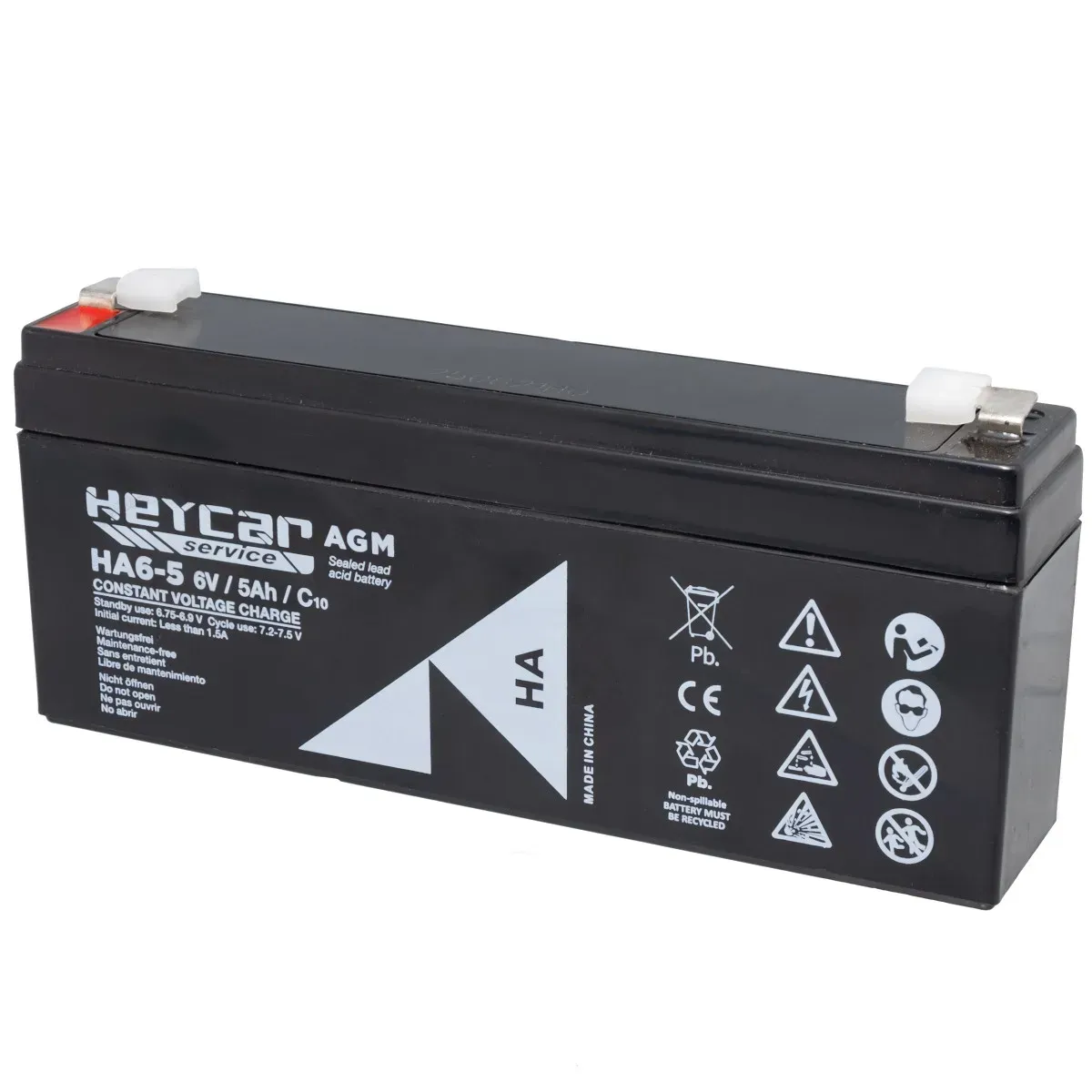 Batería 6V 5Ah HeyCar HA 169x35x70mm