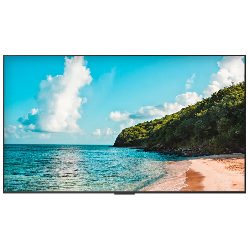 HISENSE HIS-100DM66E - Monitor digital signage 100" 4K