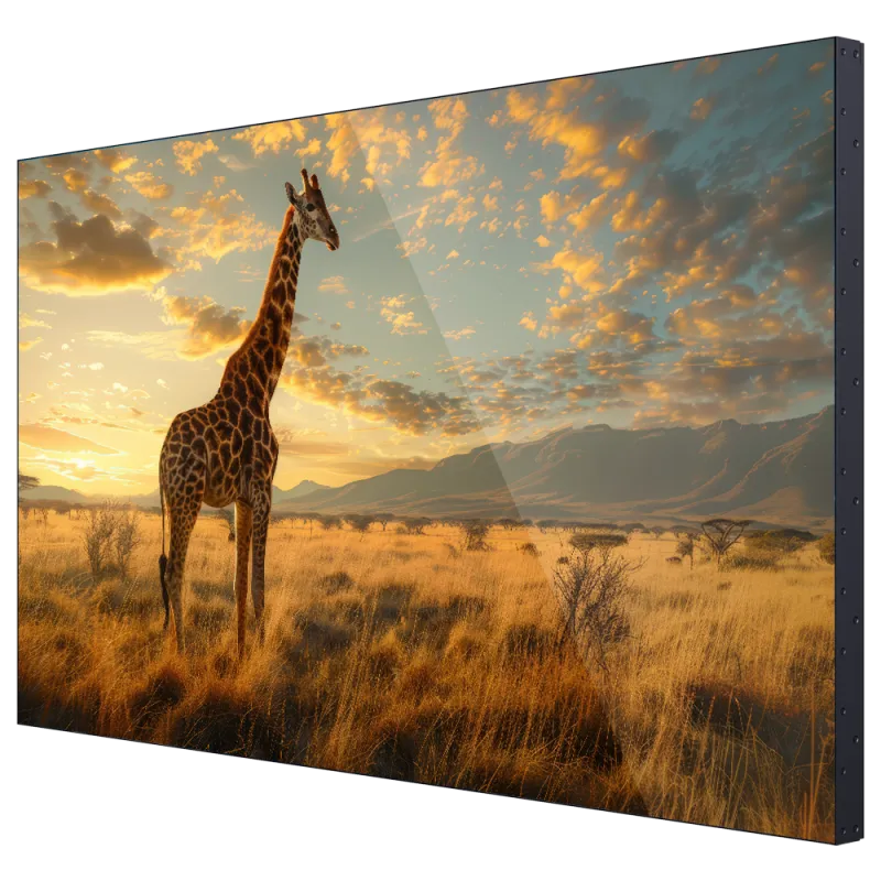 HIKVISION DS-D2065UL-0AU - Monitor videowall 65"