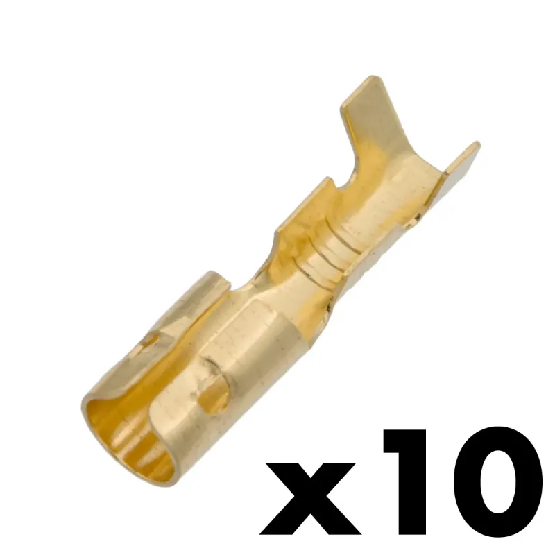 Terminal Bullet Hembra