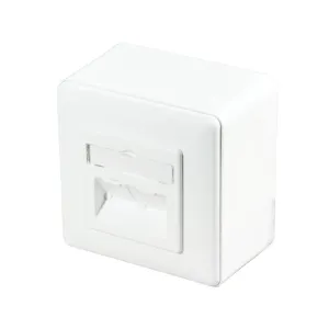 Carátula frontal de 2 keystone para caja de superficie 80x80mm | No incluye caja de superficie — imagen 3
