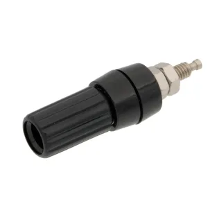 BANANA HEMBRA CHASIS, NEGRO — imagen 1