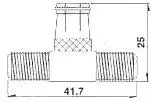 F MACHO RAPIDO - 2 F HEMBRAS — imagen 2
