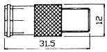 F HEMBRA- PAL HEMBRA — imagen 2